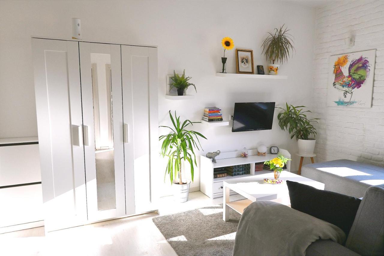 Rooster Apartments ベオグラード エクステリア 写真